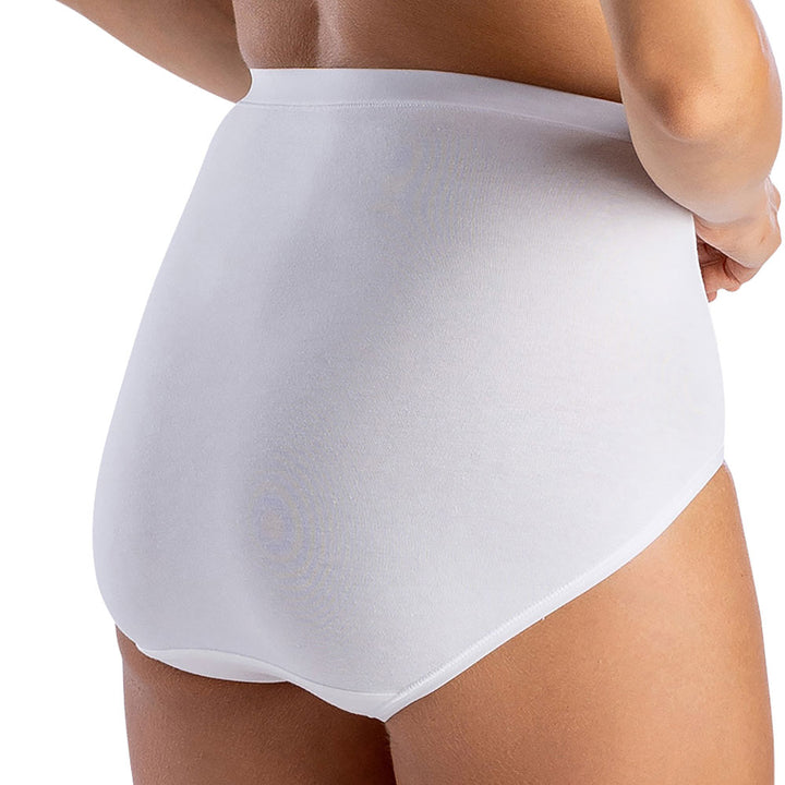 MODAL ESSENCE CLASSIC FULL FIT HIGH RISE BRIEF - Elita Intimates